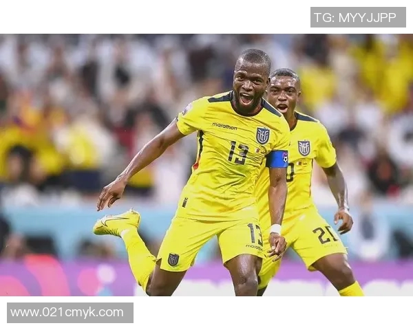 最美足球明星太太大揭秘她们的魅力与风采究竟如何吸引了球场英雄